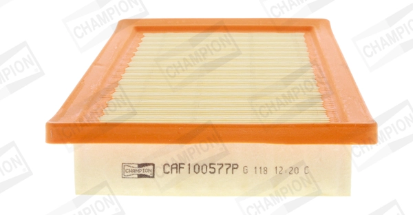 Air Filter CAF100577P