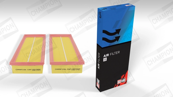 Air Filter CAF100785P