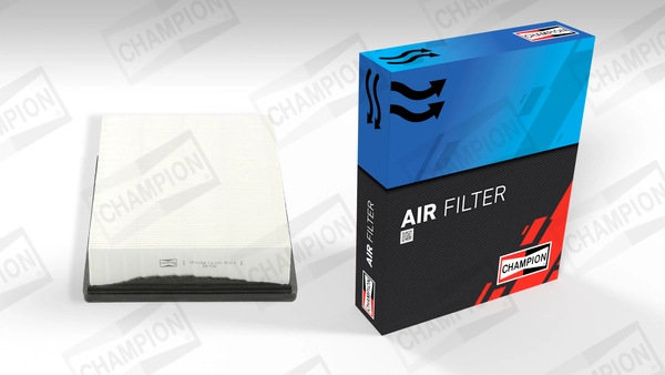 Air Filter CAF100793P