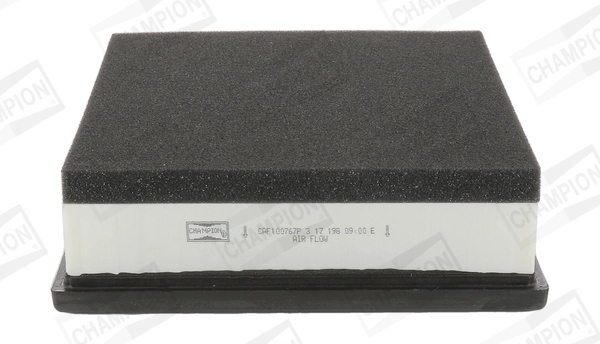 Air Filter CAF100767P