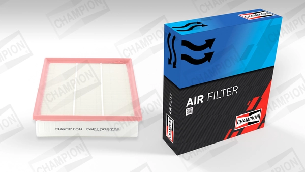 Air Filter CAF100872P