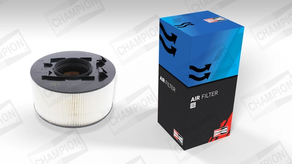 Air Filter CAF100459C