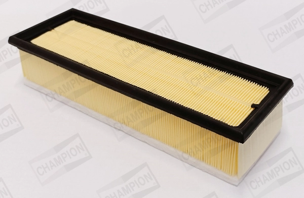Air Filter CAF101236P