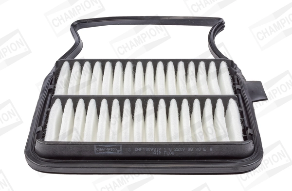 Air Filter CAF100931P