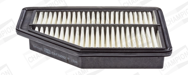 Air Filter CAF100925P