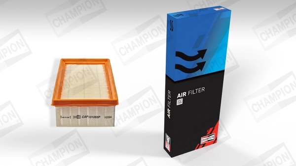 Air Filter CAF101069P