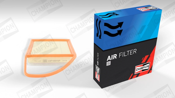 Air Filter CAF100916P