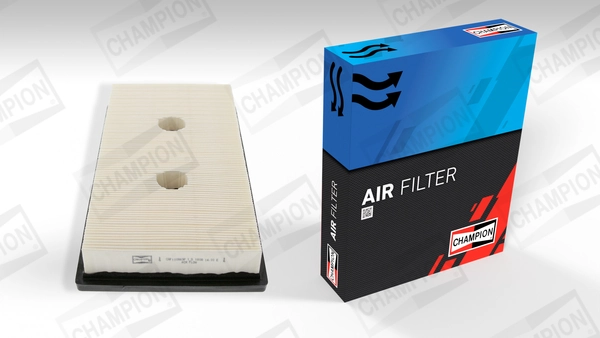 Air Filter CAF100869P