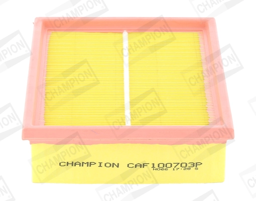 Air Filter CAF100703P