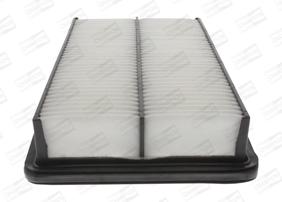 Air Filter CAF100833P