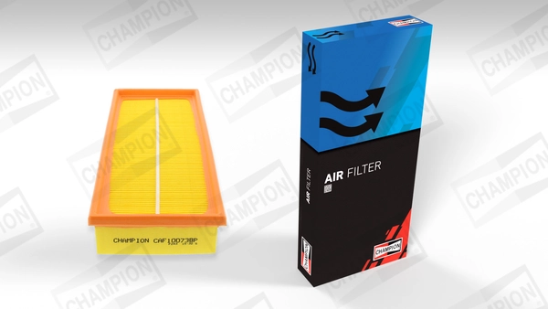 Air Filter CAF100738P