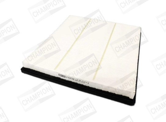 Air Filter CAF101263P