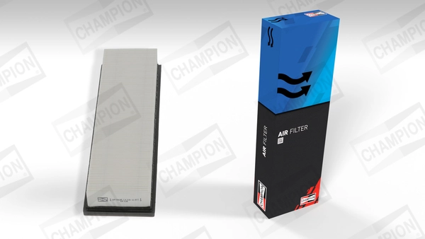 Air Filter CAF100638P