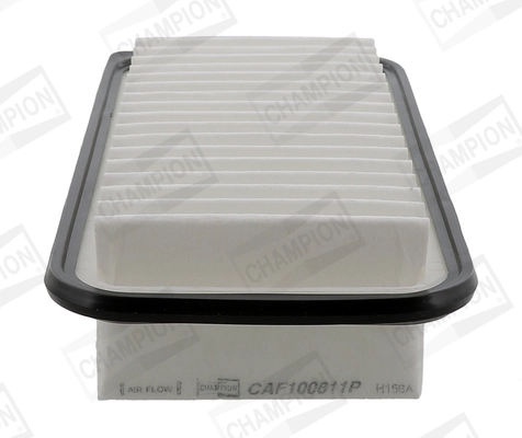 Air Filter CAF100811P
