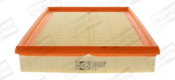 Air Filter CAF100800P