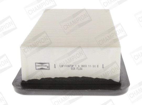 Air Filter CAF100873P