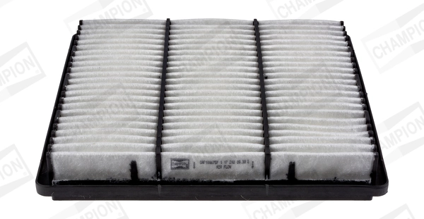 Air Filter CAF100675P