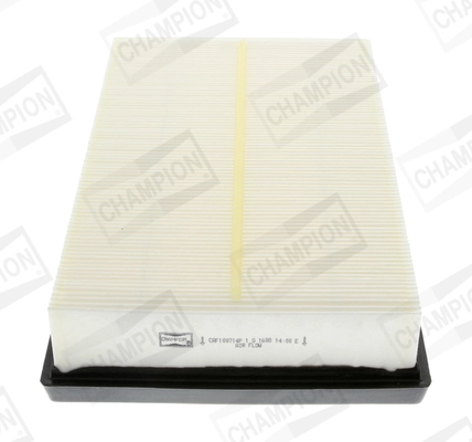 Air Filter CAF100714P