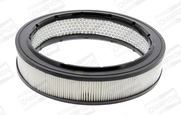 Air Filter CAF100102R