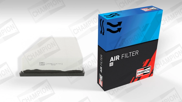 Air Filter CAF100758P