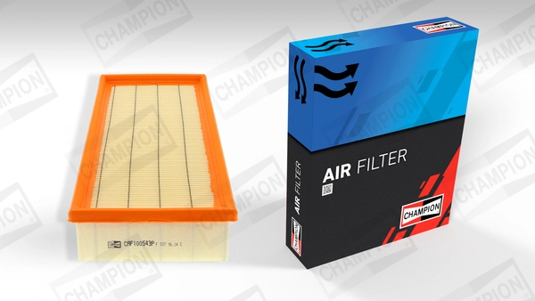 Air Filter CAF100543P