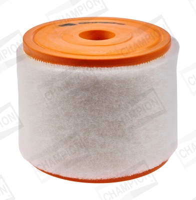 Air Filter CAF101081R