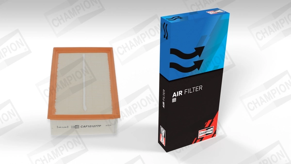 Air Filter CAF101077P