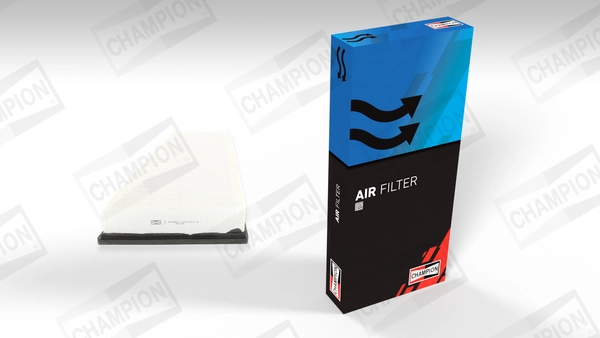 Air Filter CAF100861P