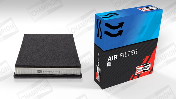 Air Filter CAF100949P