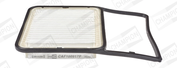 Air Filter CAF100917P