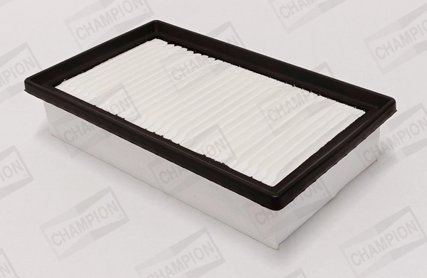 Air Filter CAF101214P