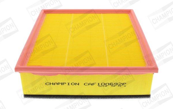Air Filter CAF100692P