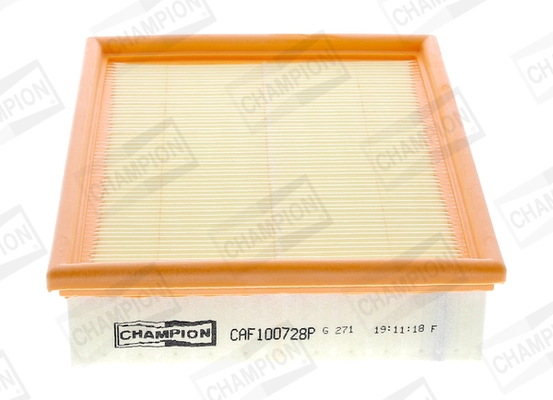 Air Filter CAF100728P