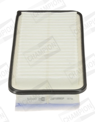 Air Filter CAF100893P