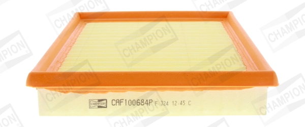 Air Filter CAF100684P