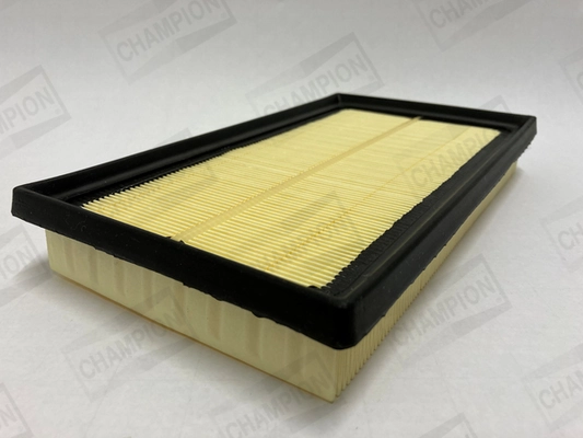 Air Filter CAF101220P
