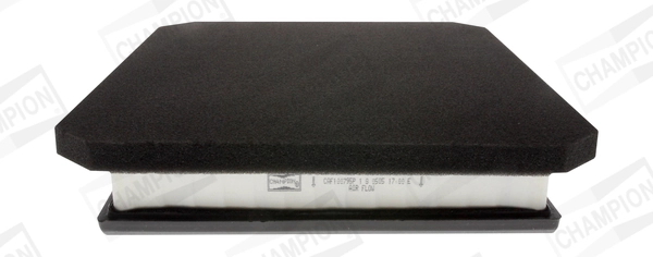 Air Filter CAF100795P