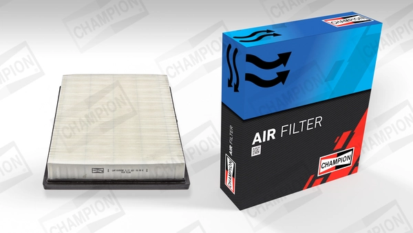 Air Filter CAF100928P