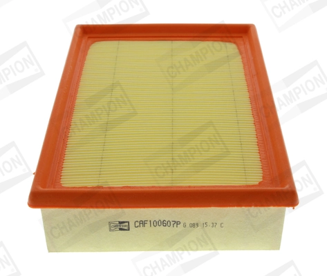 Air Filter CAF100607P