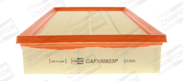 Air Filter CAF100823P