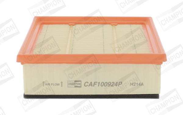 Air Filter CAF100924P