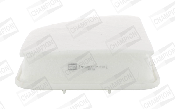 Air Filter CAF100877P