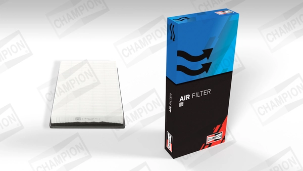 Air Filter CAF100788P