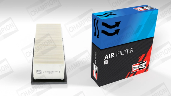 Air Filter CAF100720P