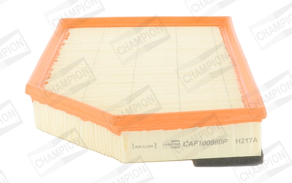 Air Filter CAF100860P