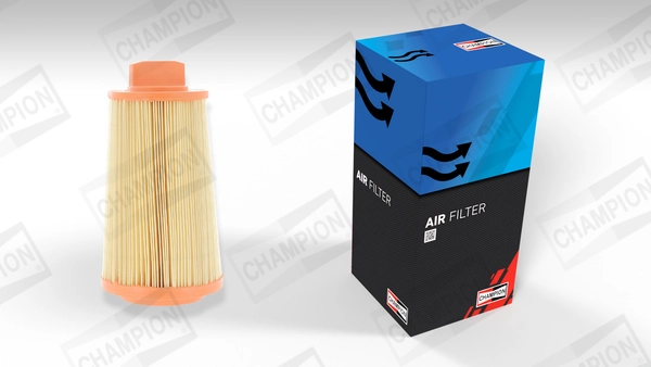 Air Filter CAF100464C