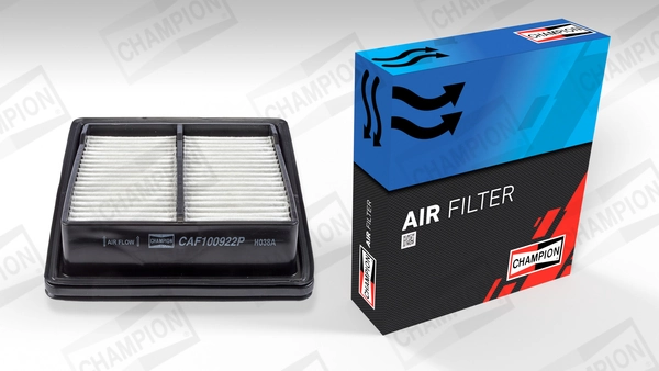 Air Filter CAF100922P