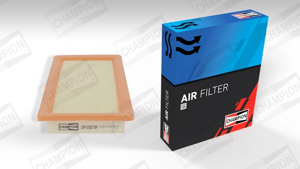 Air Filter CAF100579P