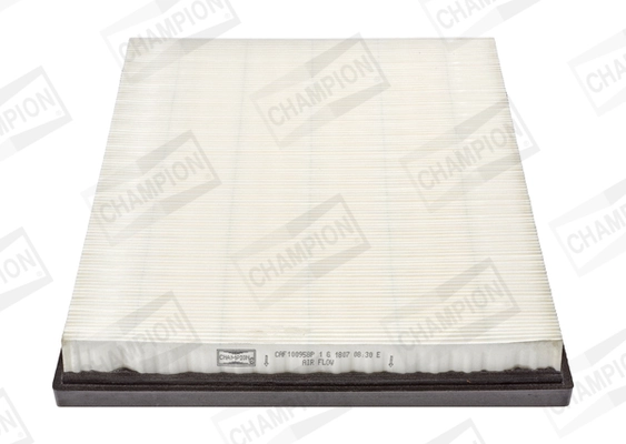 Air Filter CAF100958P
