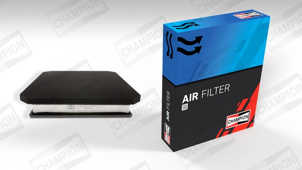 Air Filter CAF100795P